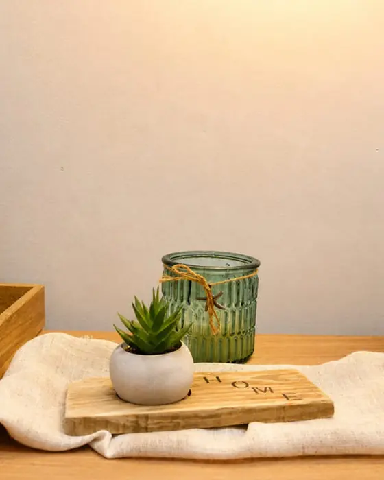Base decorativa de madera con mini cactus